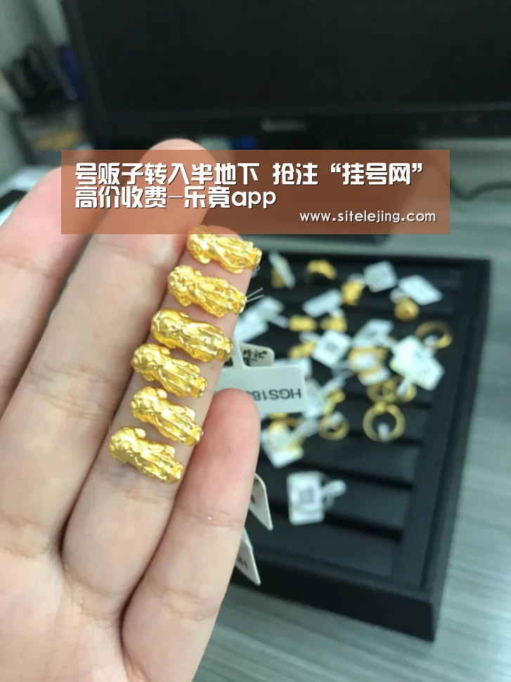 号贩子转入半地下 抢注“挂号网”高价收费-乐竟app(图3) 乐竟体育官网
