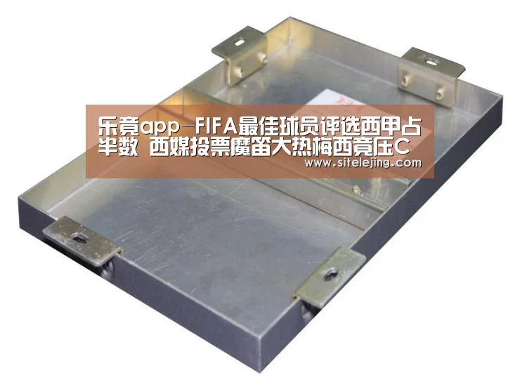 乐竟app-FIFA最佳球员评选西甲占半数 西媒投票魔笛大热梅西竟压C罗(图2) 乐竟体育官网
