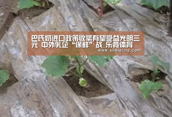 乐竟app
