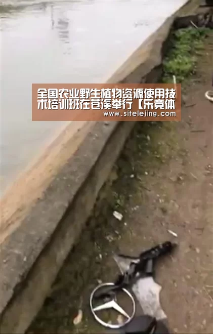 全国农业野生植物资源使用技术培训班在苍溪举行【乐竟体育】(图2) 乐竟体育