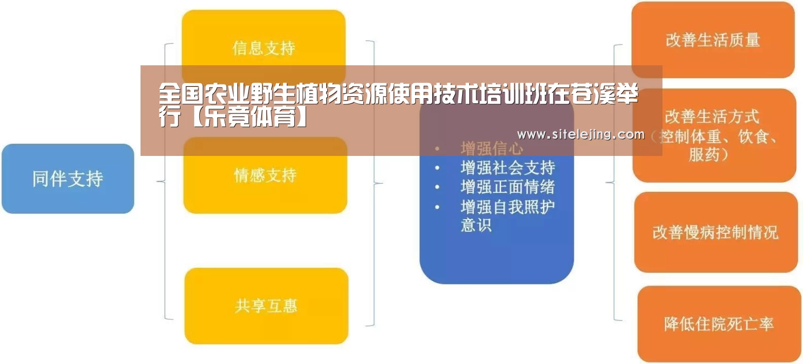 全国农业野生植物资源使用技术培训班在苍溪举行【乐竟体育】(图4) 乐竟体育
