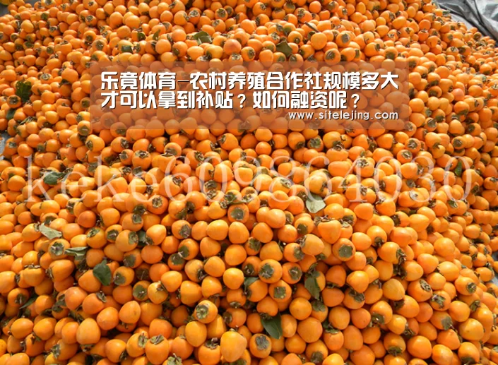 乐竟体育-农村养殖合作社规模多大才可以拿