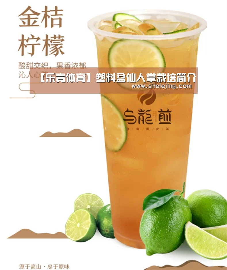 【乐竟体育】塑料盆仙人掌栽培简介