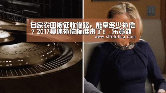 乐竟app